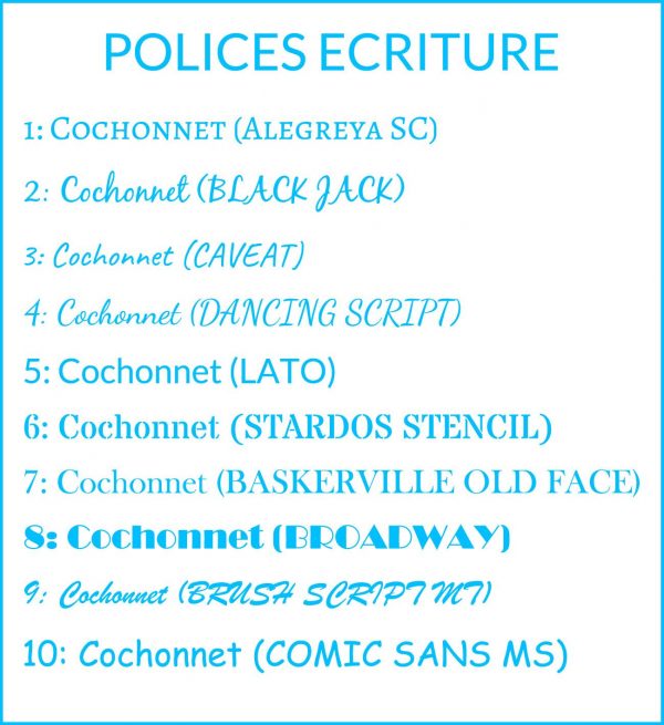 Cochonnet pétanque personnalisé – Image 2