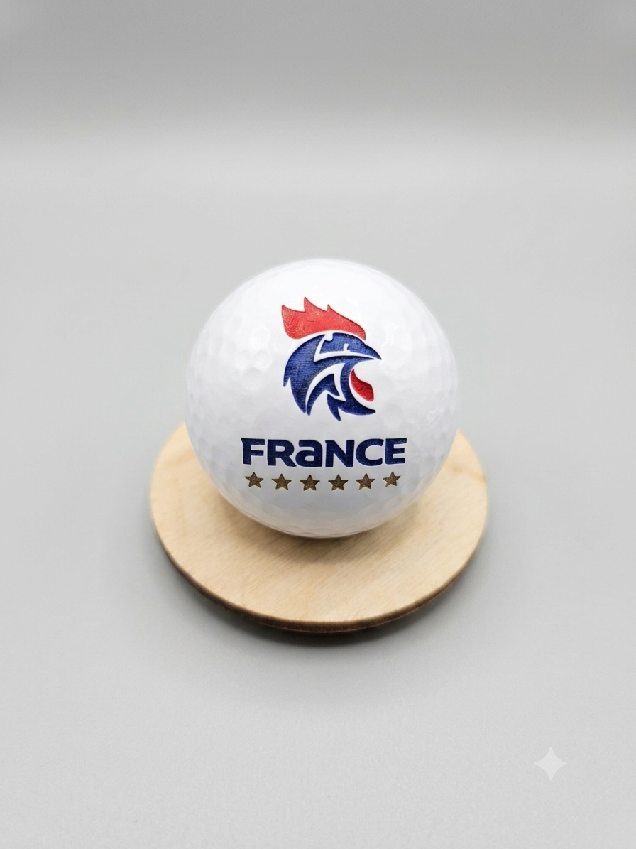 Cochonnets Equipe de France de Handball